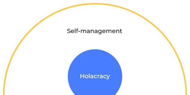 Self-management in relationship to Holacracy